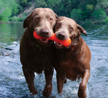 RuffDawg Tough Dawgbuster Dog Toy - Floats, Bounces & Lasts