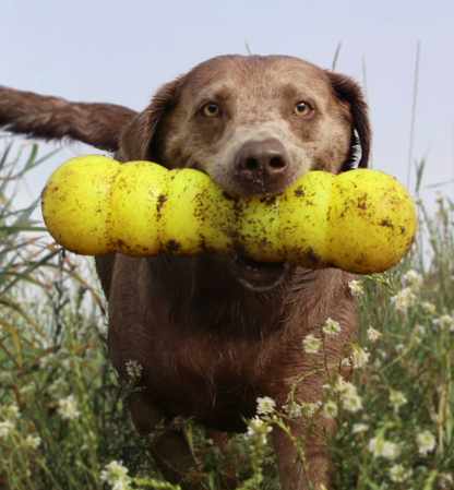 RuffDawg Tough Dawgbuster Dog Toy - Floats, Bounces & Lasts