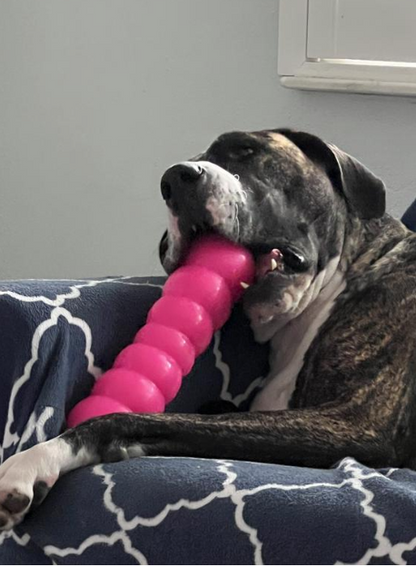 RuffDawg Tough Dawgbuster Dog Toy - Floats, Bounces & Lasts
