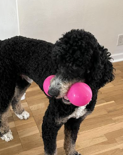 Ruffdawg Tough rubber dog toy - BIG DAWG