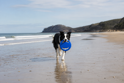 Dog Flying Frisbee & Tug Toy | Non-Toxic