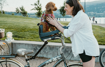 buddyrider dog bike seat aus
