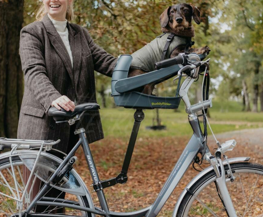 buddyrider dog bike seat australia
