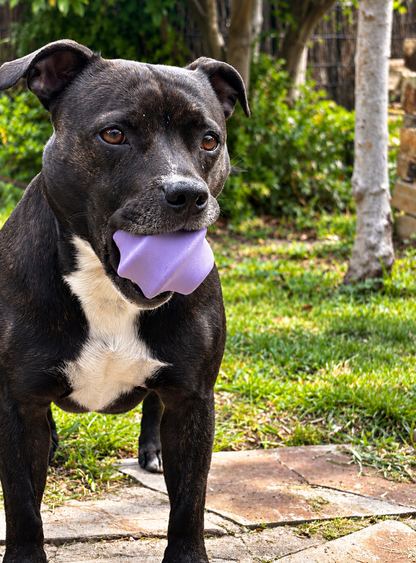 Natural Rubber - Dog Treat Toy - Bully stick holder