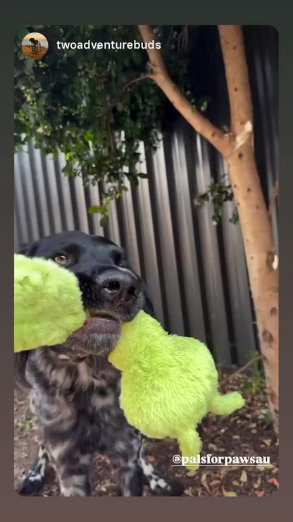 Connie Caterpillar Plush Tug Toy-  Pals for Paws™-Made with 100% Recycled Material