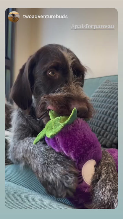 Eggwina Eggplant-Plush dog toy- Pals for Paws™- Made with 100% Recycled Material