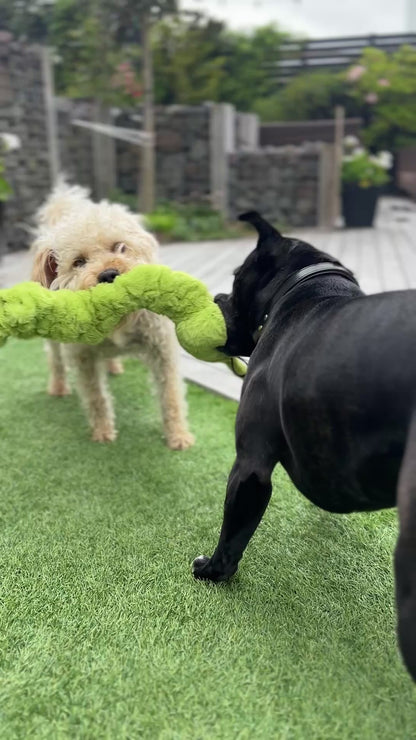 Connie Caterpillar Plush Tug Toy-  Pals for Paws™-Made with 100% Recycled Material