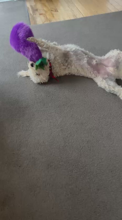 Eggwina Eggplant™ Eco-Friendly Plush Dog Toy