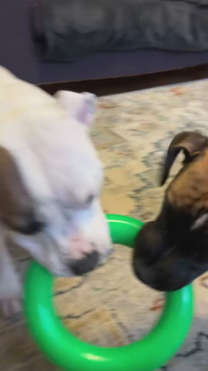 Ruffdawg- Dawg-Ring - Tough, Non Toxic,Floats & Lasts