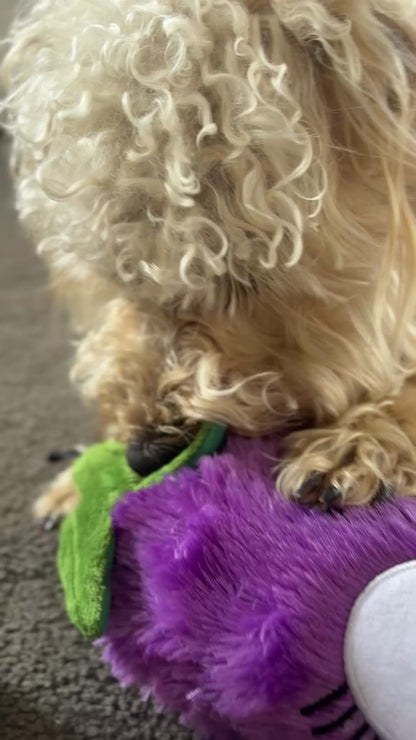 Eggwina Eggplant-Plush dog toy- Pals for Paws™- Made with 100% Recycled Material