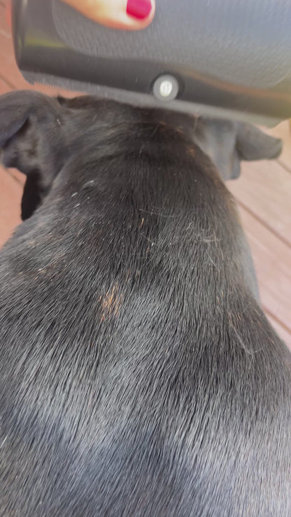 De-Shedding Comb