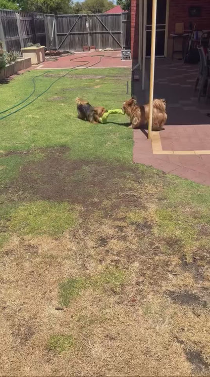 Connie Caterpillar Plush Tug Toy-  Pals for Paws™-Made with 100% Recycled Material