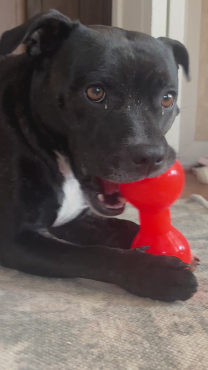 Ruffdawg Tough rubber dog toy - BIG DAWG