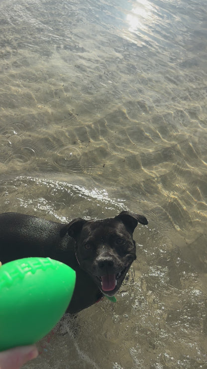 RuffDawg Tough Rubber Dog Toy- Football