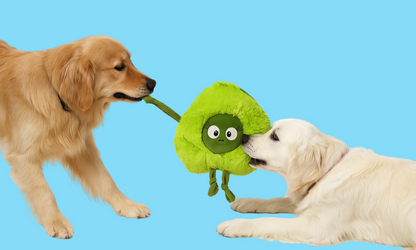 Veggie Bundle -Plush Dog Toys
